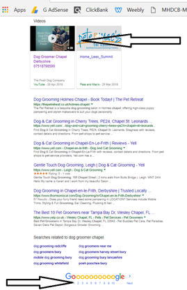 Video Local marketing search results